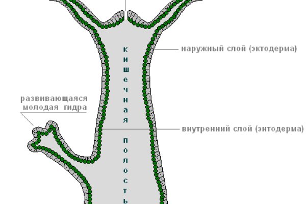 Кракен зеркало рабочее kr2web in