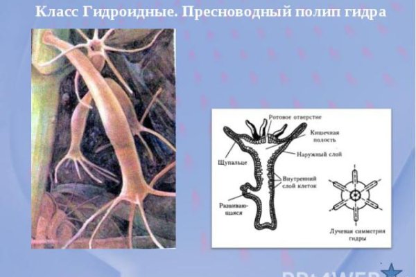 Кракен современный маркет