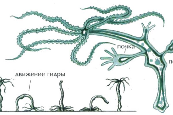 Как найти сайт кракен