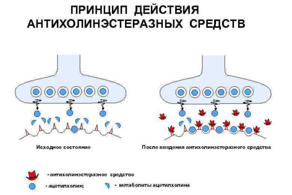 Кракен наркошоп